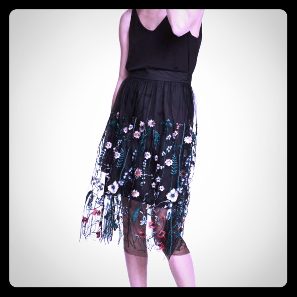 H&M Embroidered Mesh Skirt